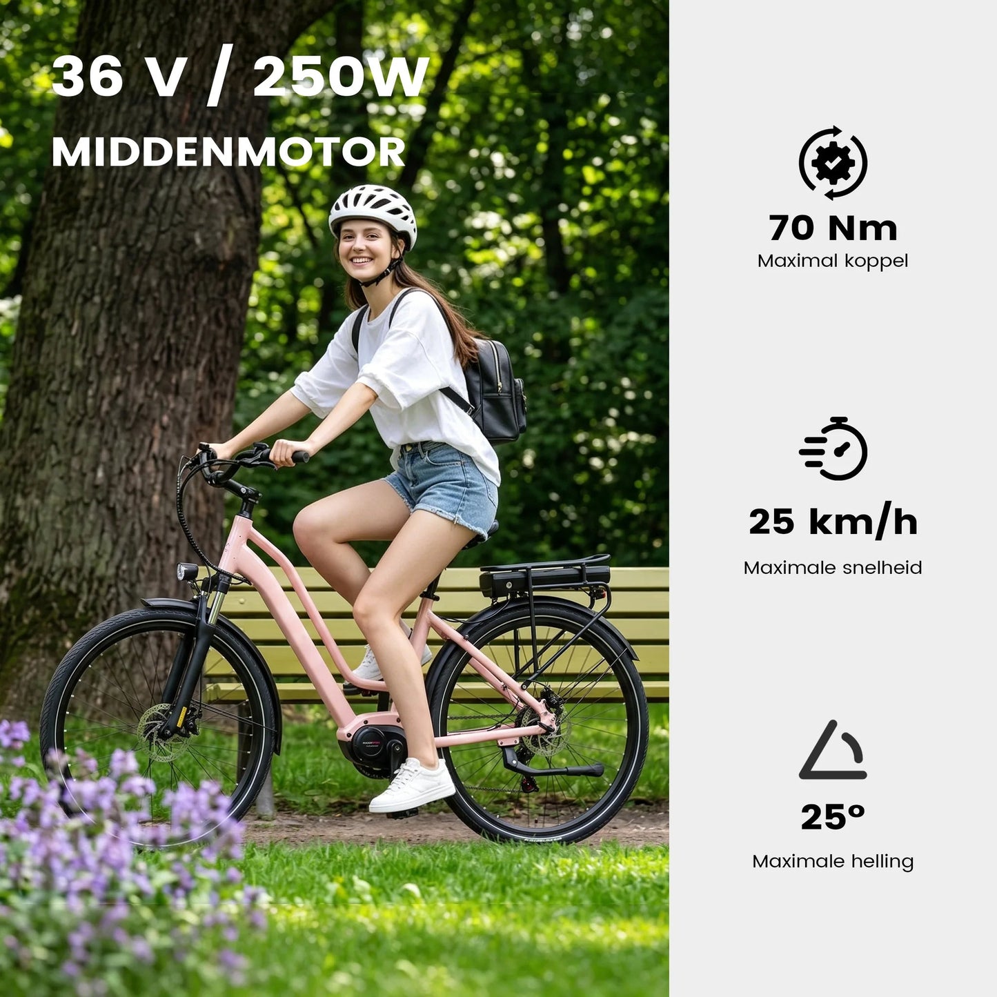 Ananda M60 middenmotor met 70 Nm koppel van de Maxtron Urban 8 elektrische fiets