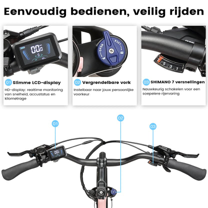Display van de Maxtron Urban 8 elektrische fiets